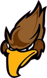 Hickson Hawks