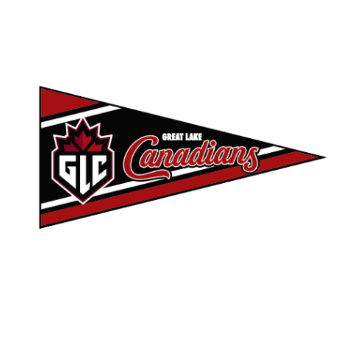 Felt Wall Pennant