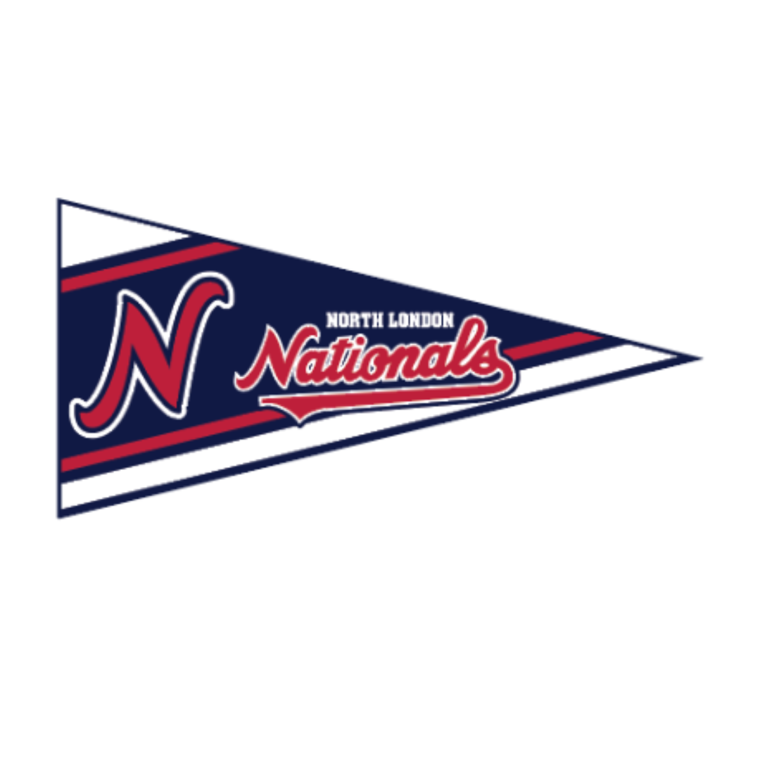 Felt Wall Pennant