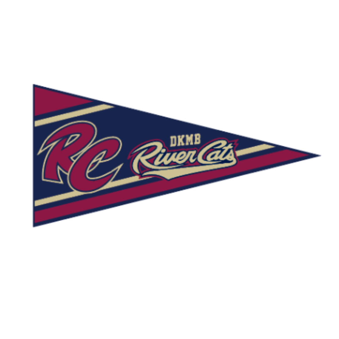 Felt Wall Pennant