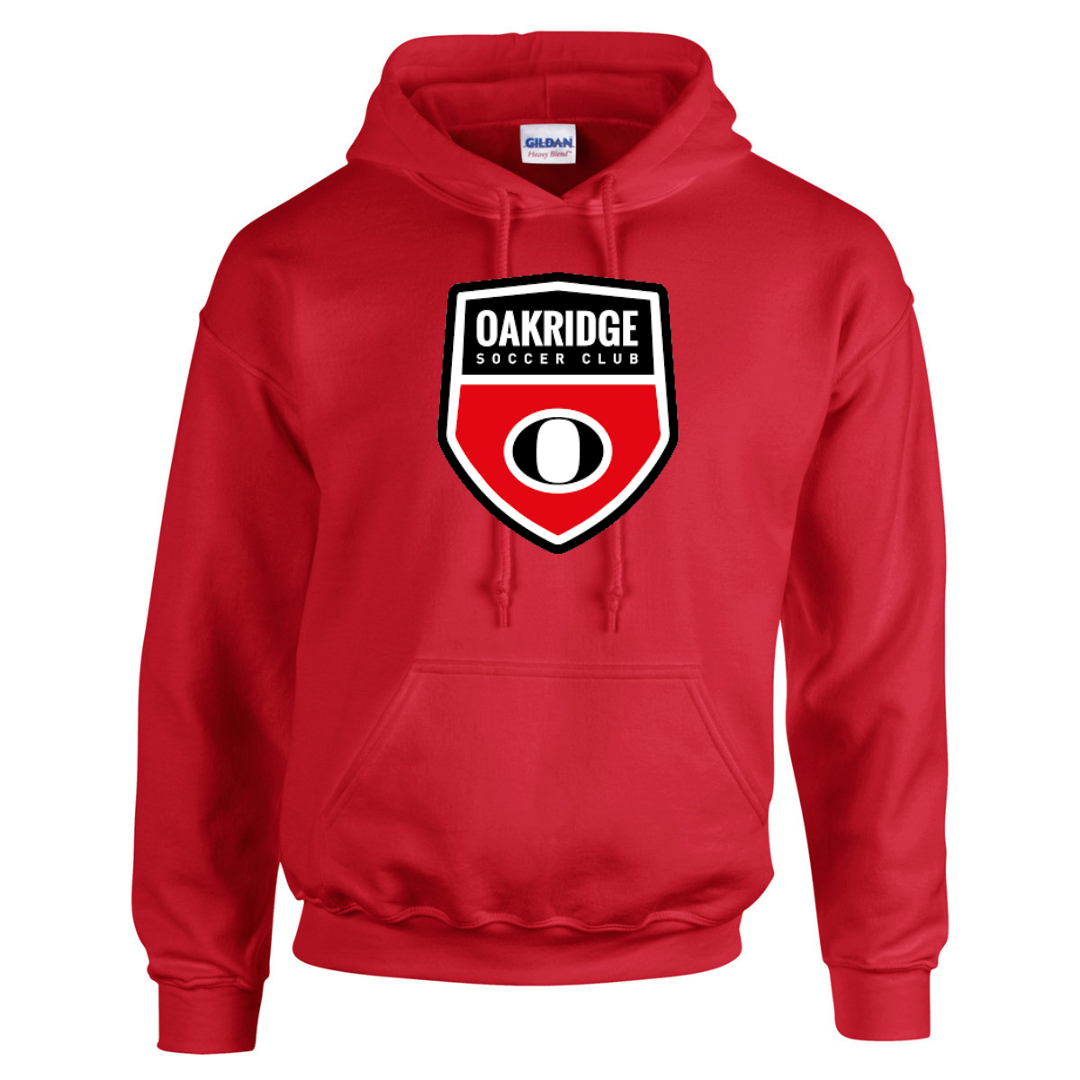 Protection Path Crest Logo Hoodie main image 1