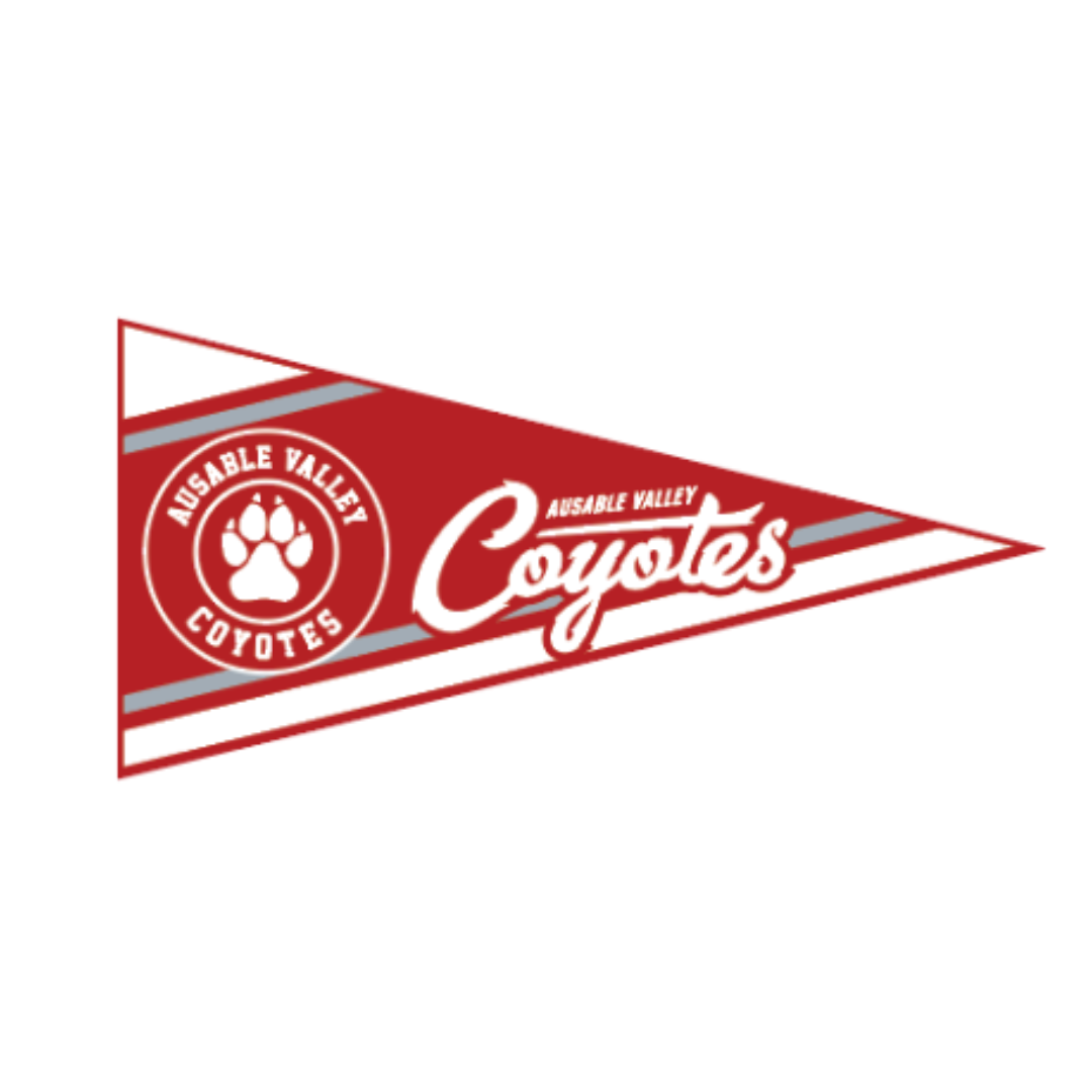 Felt Wall Pennant