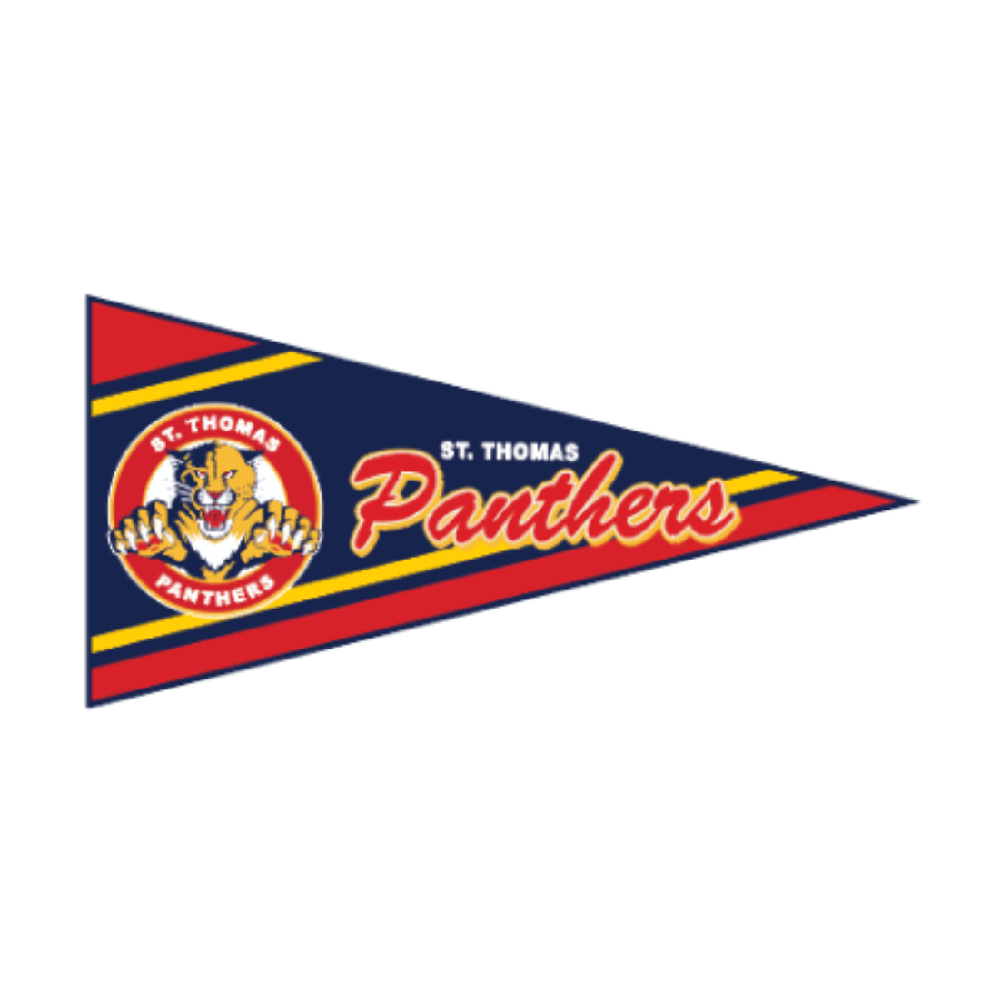 Felt Wall Pennant