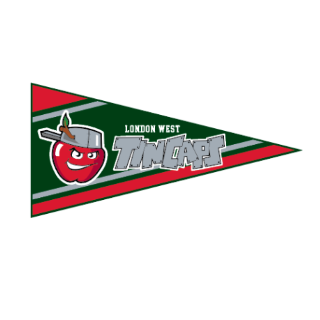 Felt Wall Pennant