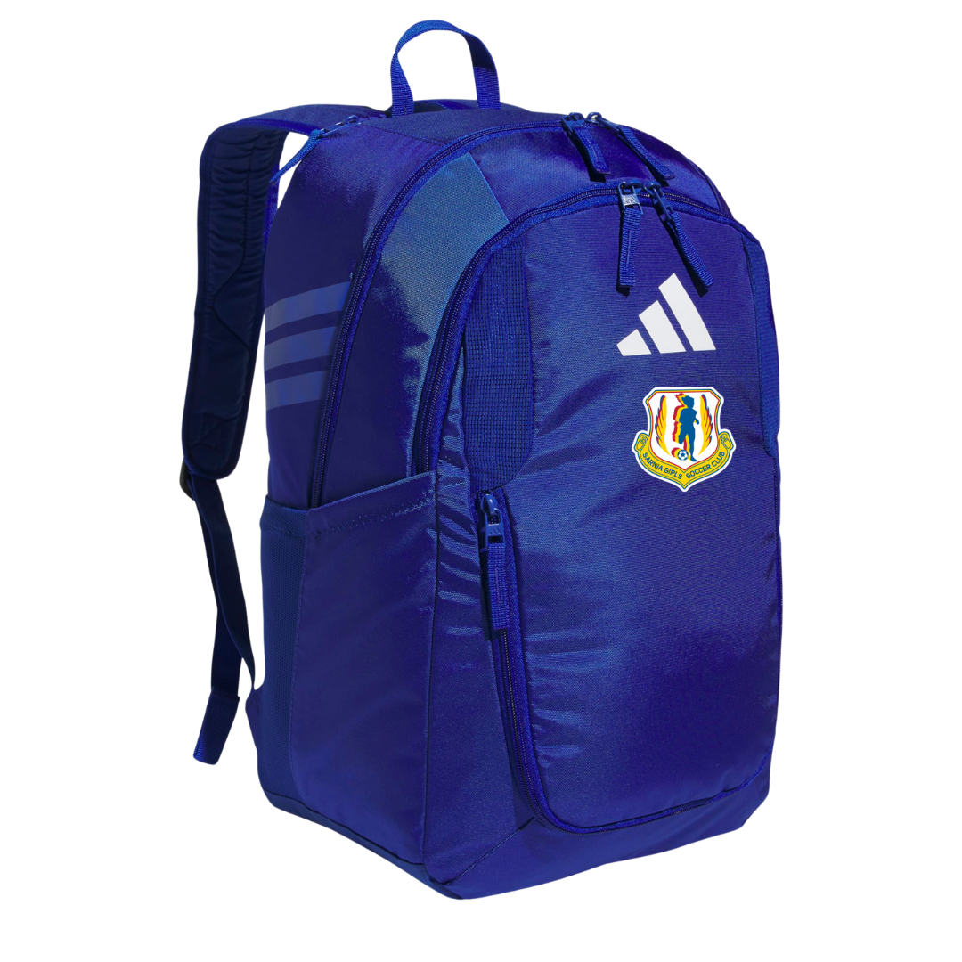 Stadium Backpack