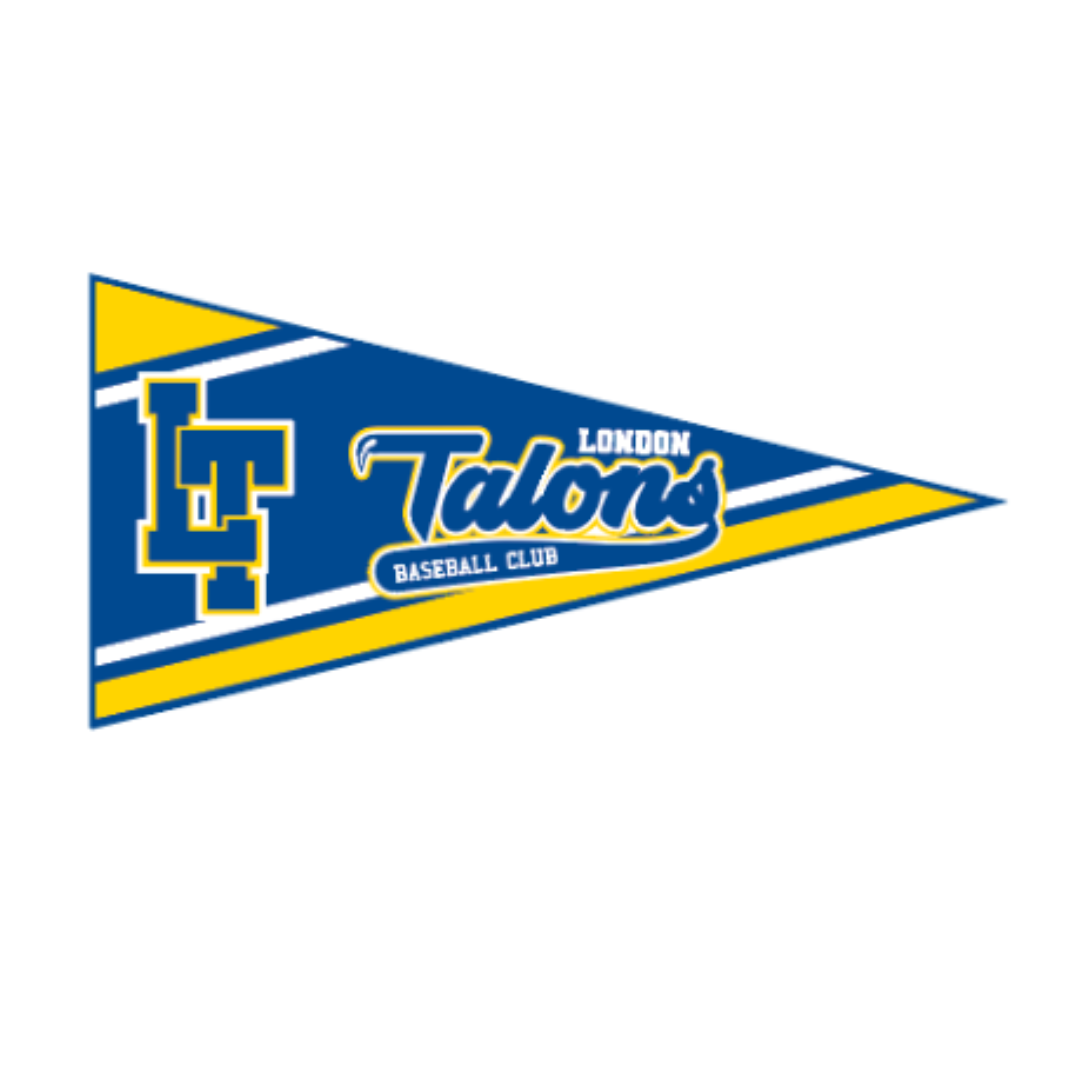 Felt Wall Pennant
