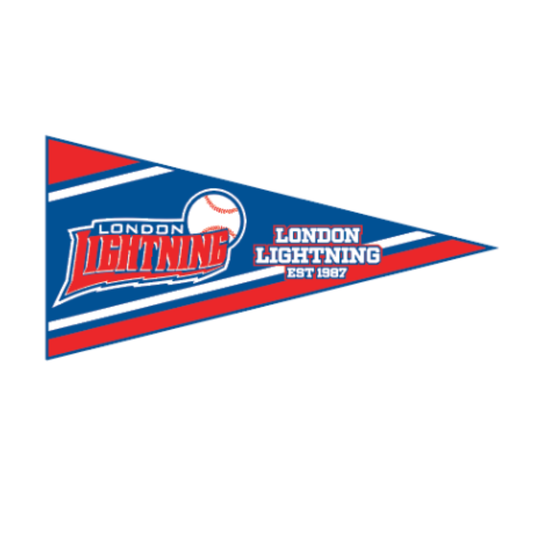 Felt Wall Pennant