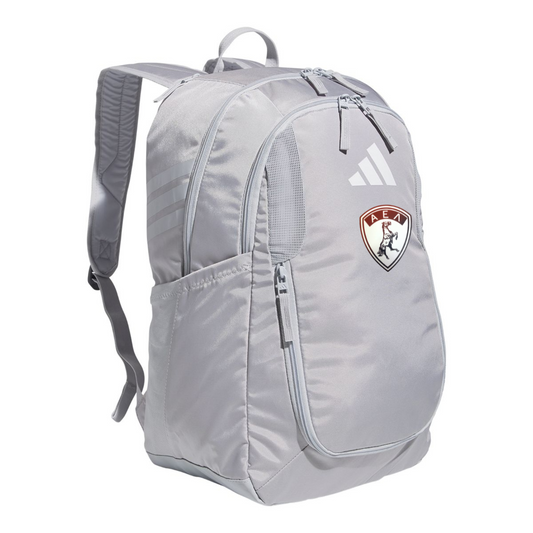 Stadium Backpack