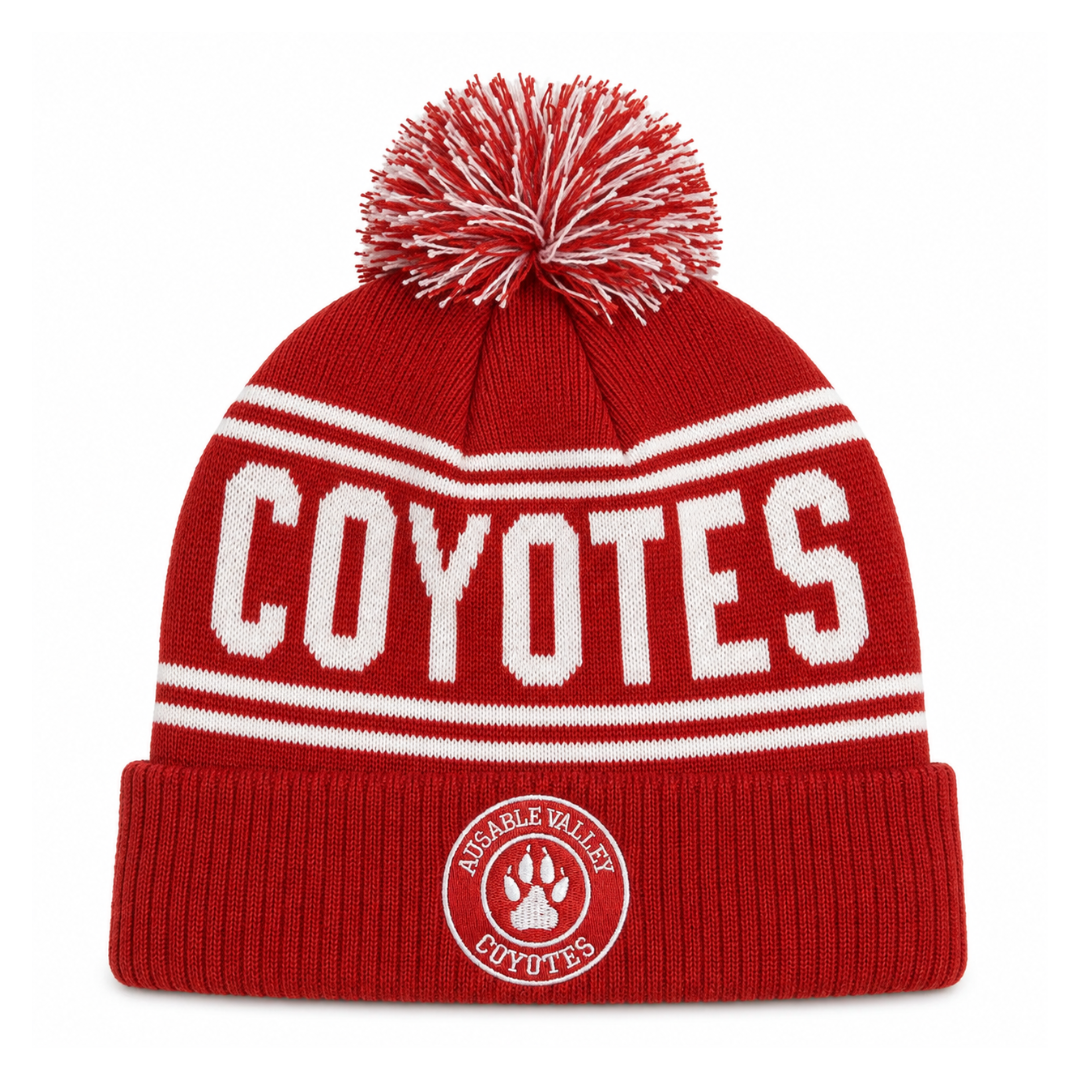 Knit Pom Toque
