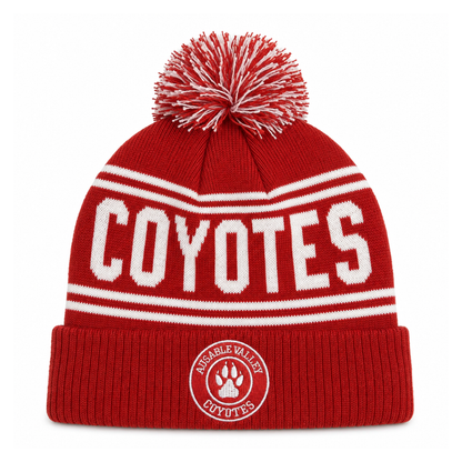 Knit Pom Toque