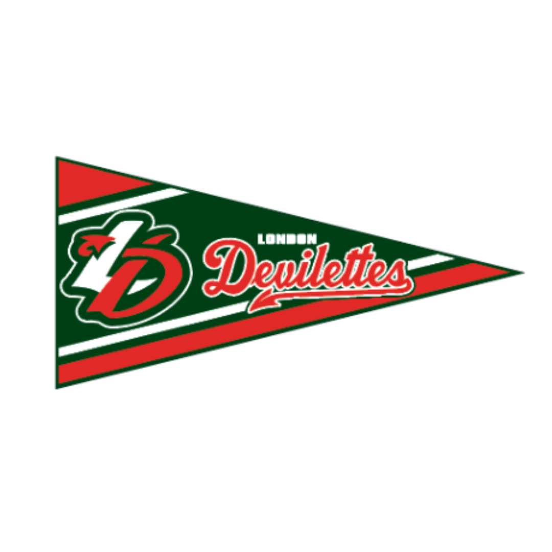 Felt Wall Pennant