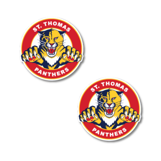 Panthers Helmet Stickers 2 Pack