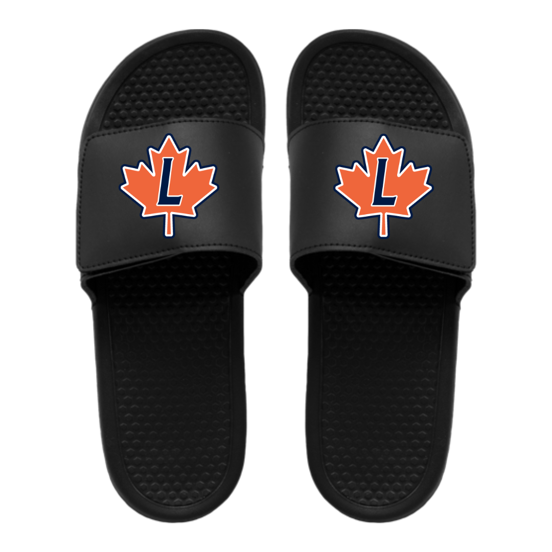 Slides
