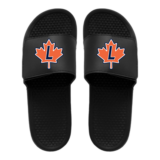 Slides