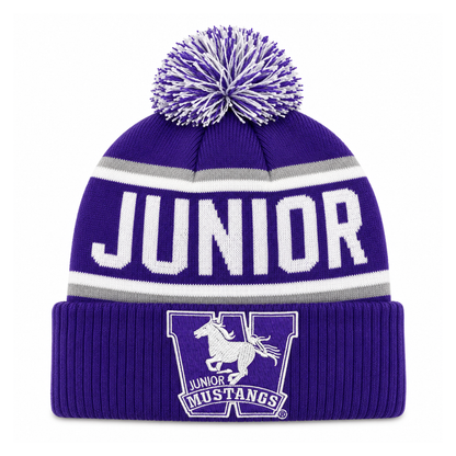 Knit Pom Toque
