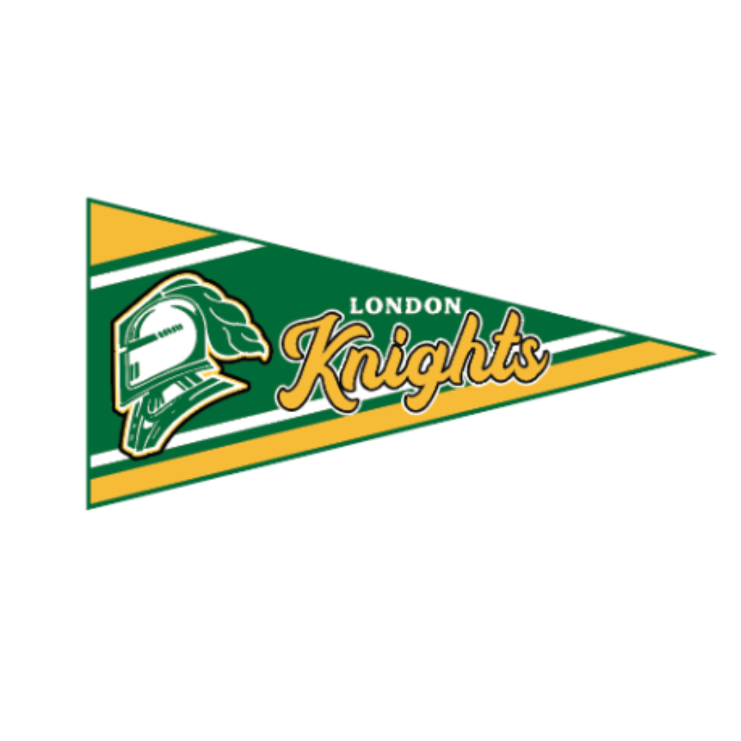 Felt Wall Pennant