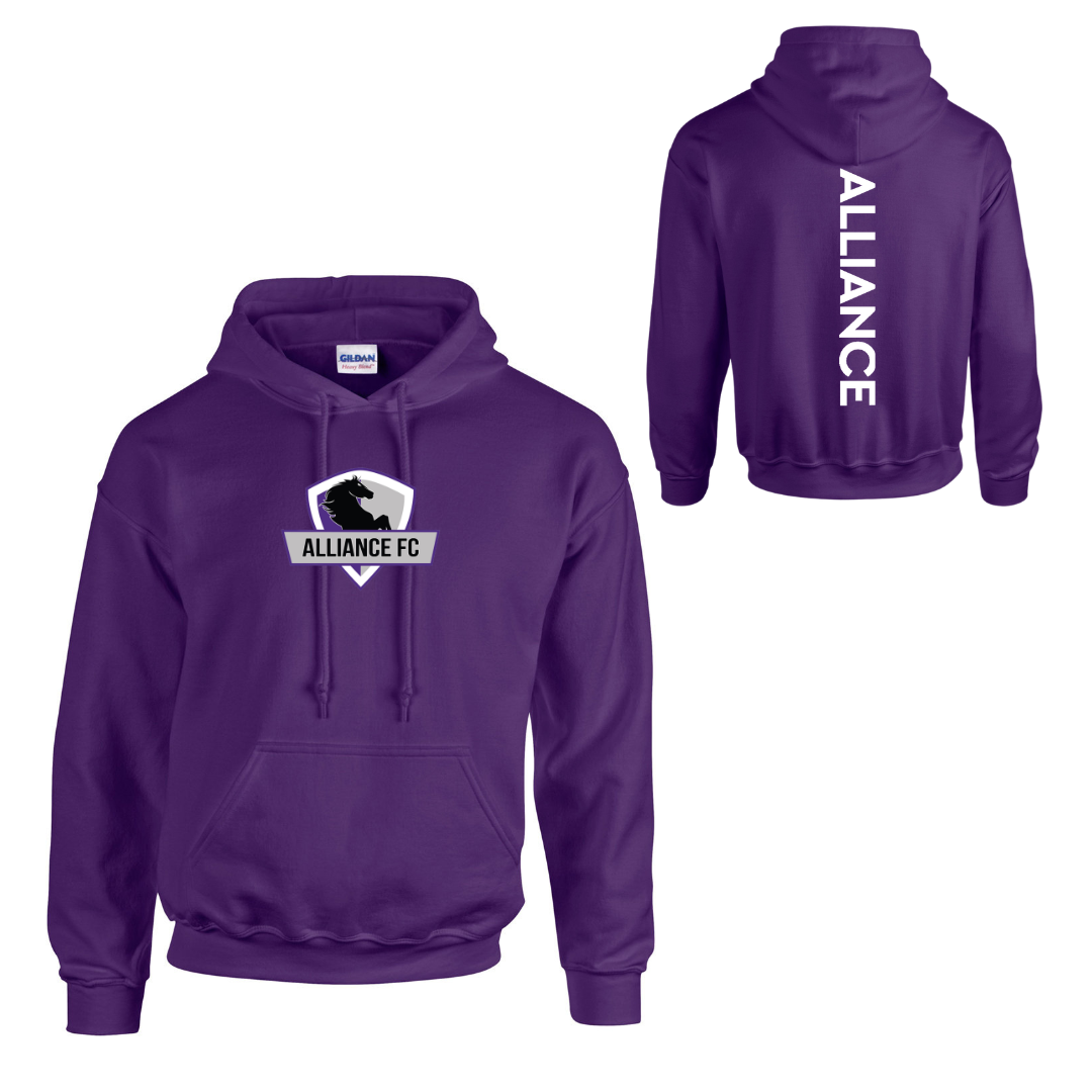 Cotton Hoodie - 2025 Design - Youth