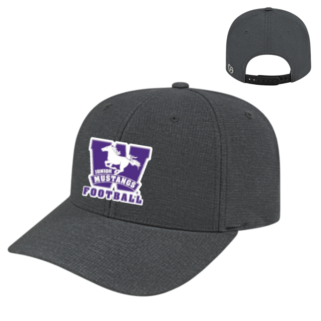 Snapback Ball Heather Ball Hat