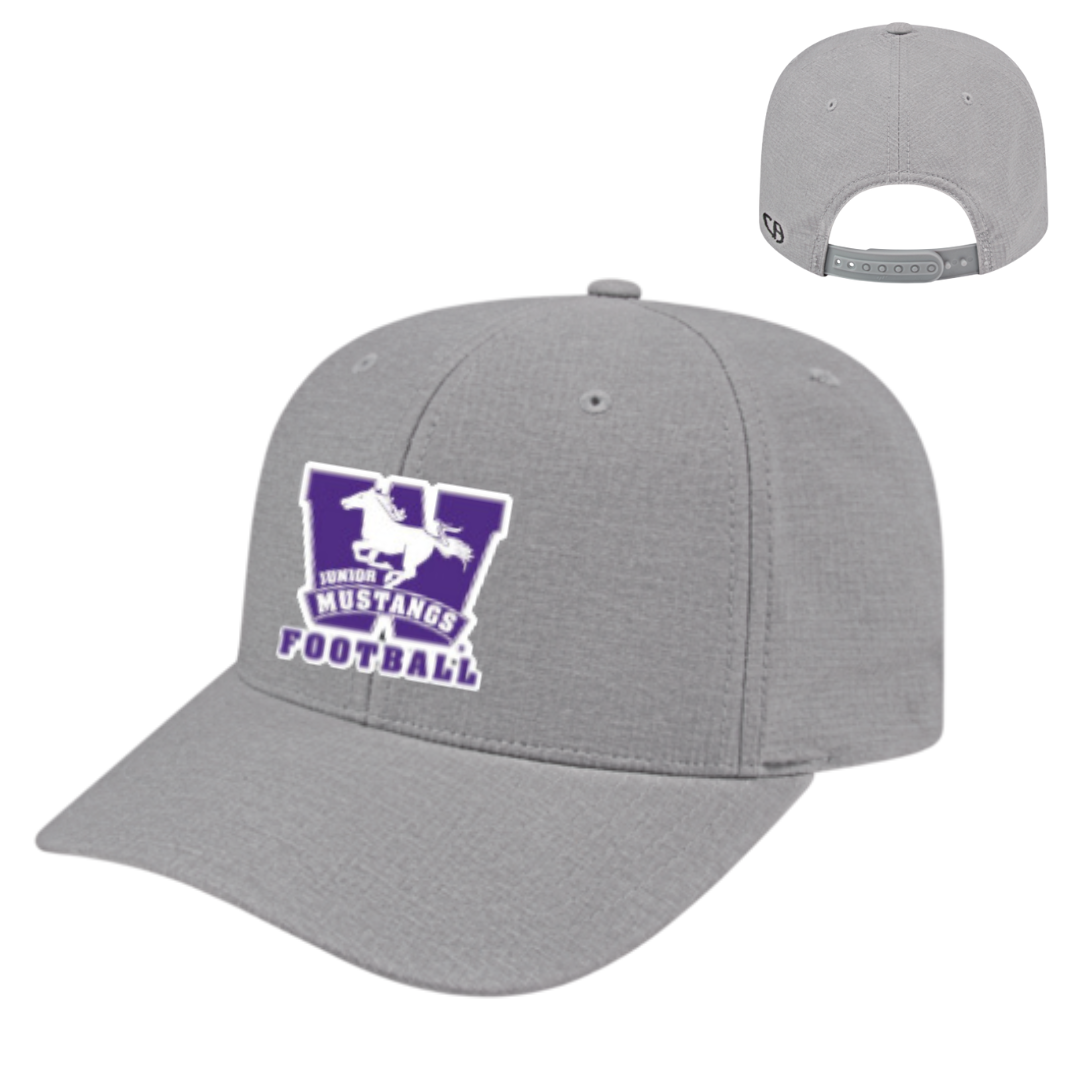 Snapback Heather Ball Hat