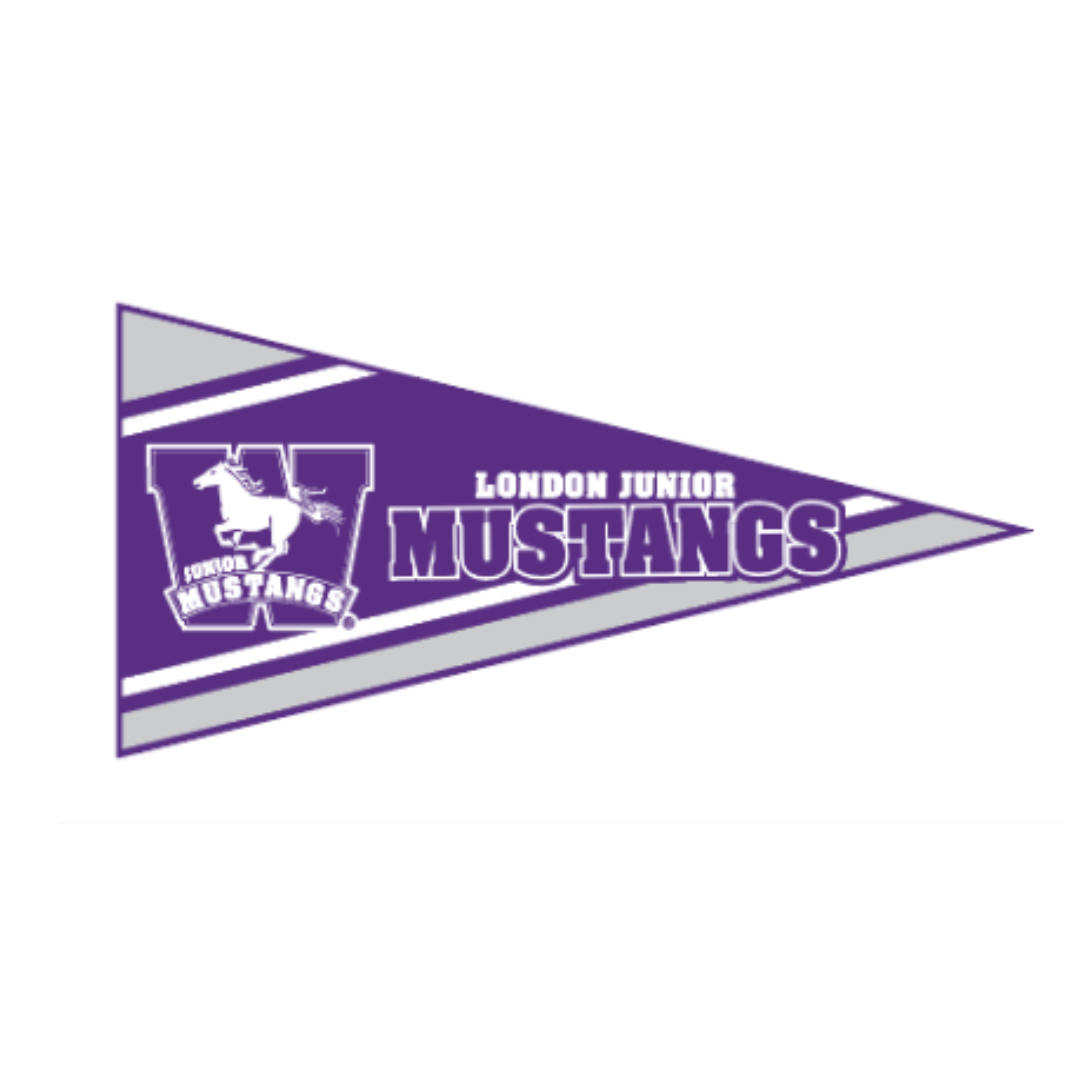 Felt Wall Pennant