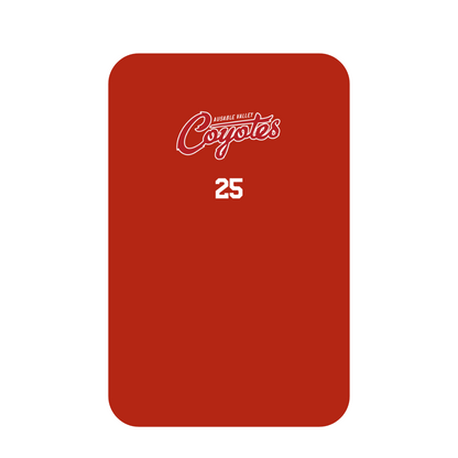 Jersey Bag - Single
