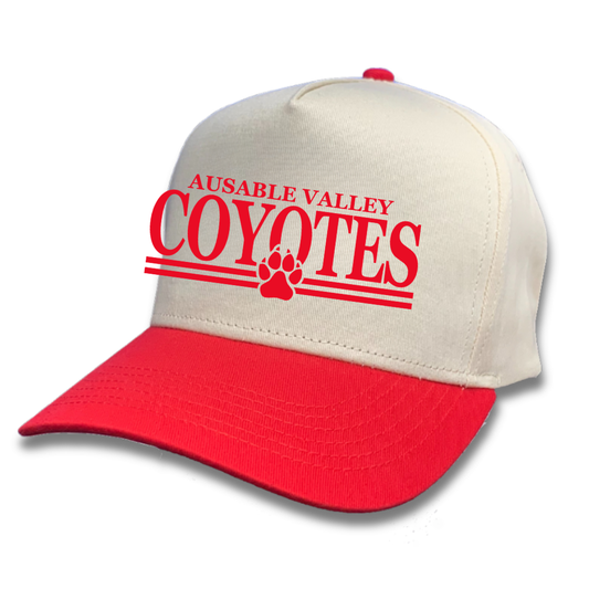 Retro Adjustable Trucker
