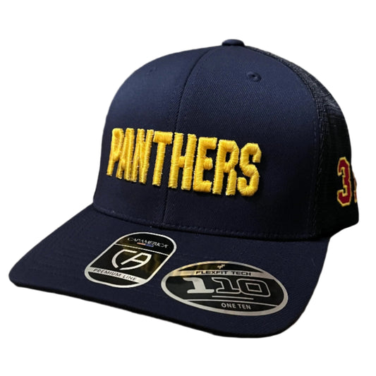 PANTHERS Hat