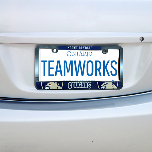 License Plate Frame