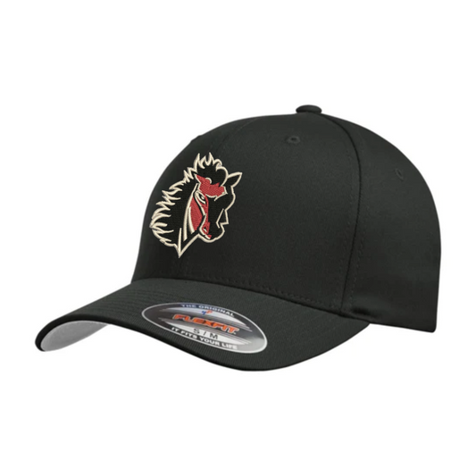 Flexfit Hat