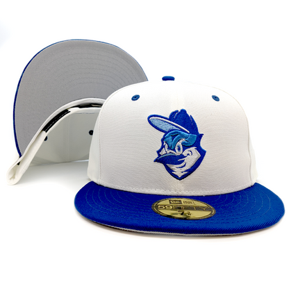 SOUTHWEST BLUE BIRDS - WHITE ALTERNATE