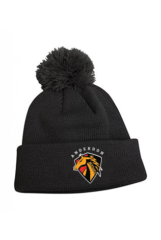 Pom Winter Toque