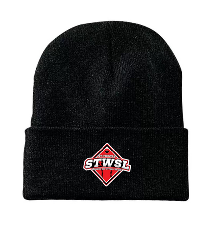 Board Winter Toque