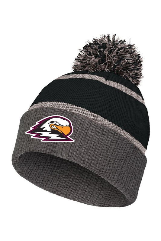 Pom Pom Winter Toque