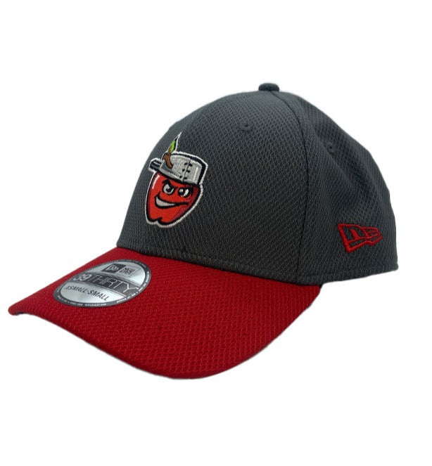 Tincaps Baseball – Source Teamworks